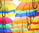 Renkler şemsiyesi